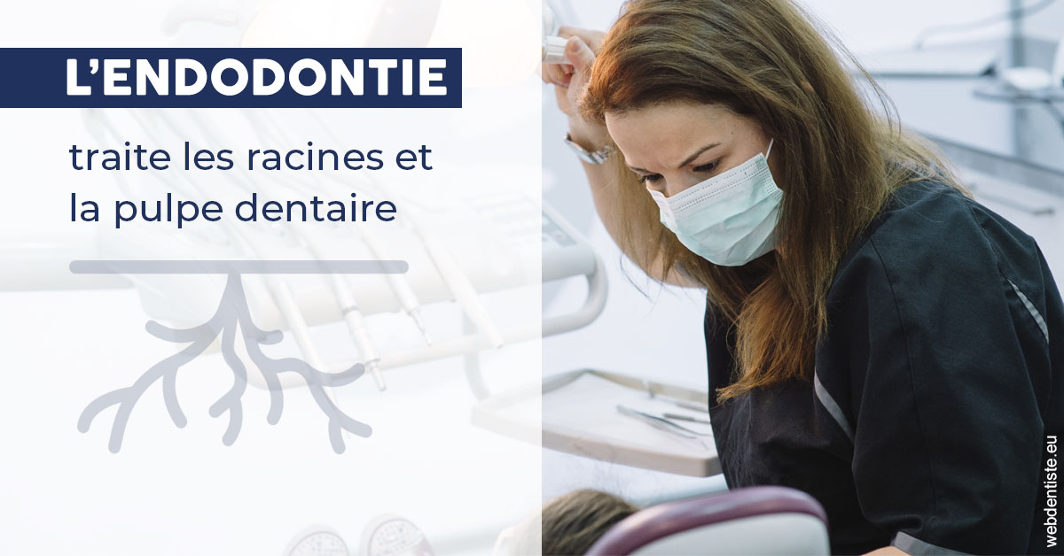 https://dr-marchou-maxime.chirurgiens-dentistes.fr/L'endodontie 1