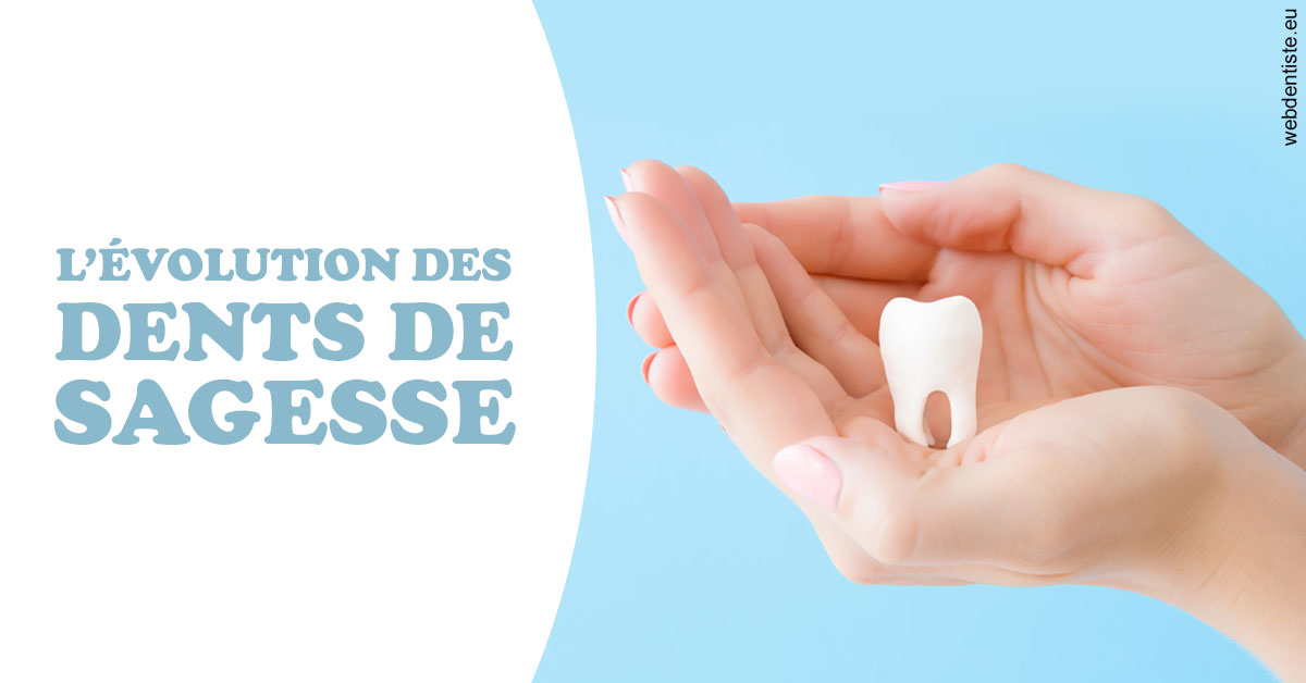 https://dr-marchou-maxime.chirurgiens-dentistes.fr/Evolution dents de sagesse 1