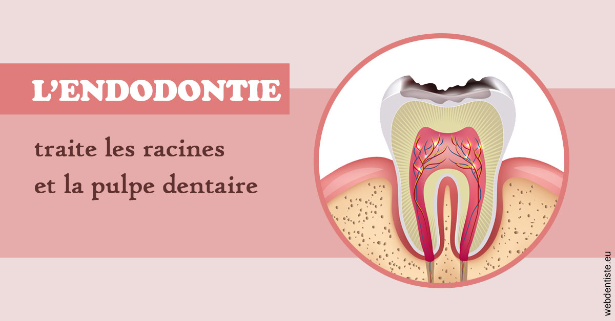 https://dr-marchou-maxime.chirurgiens-dentistes.fr/L'endodontie 2