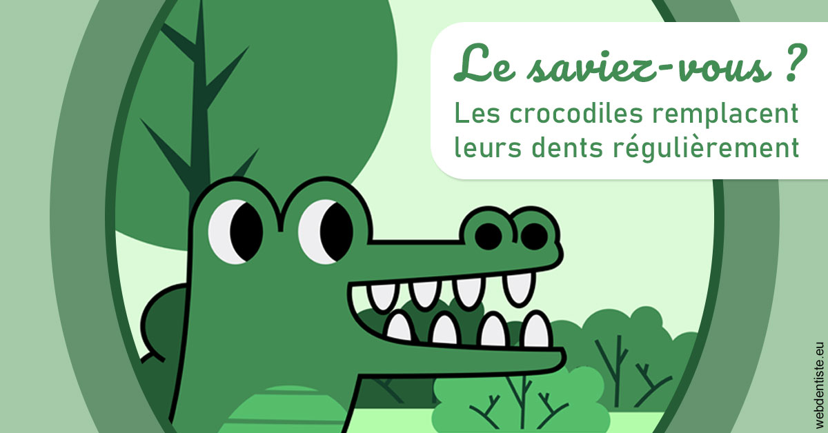 https://dr-marchou-maxime.chirurgiens-dentistes.fr/Crocodiles 2