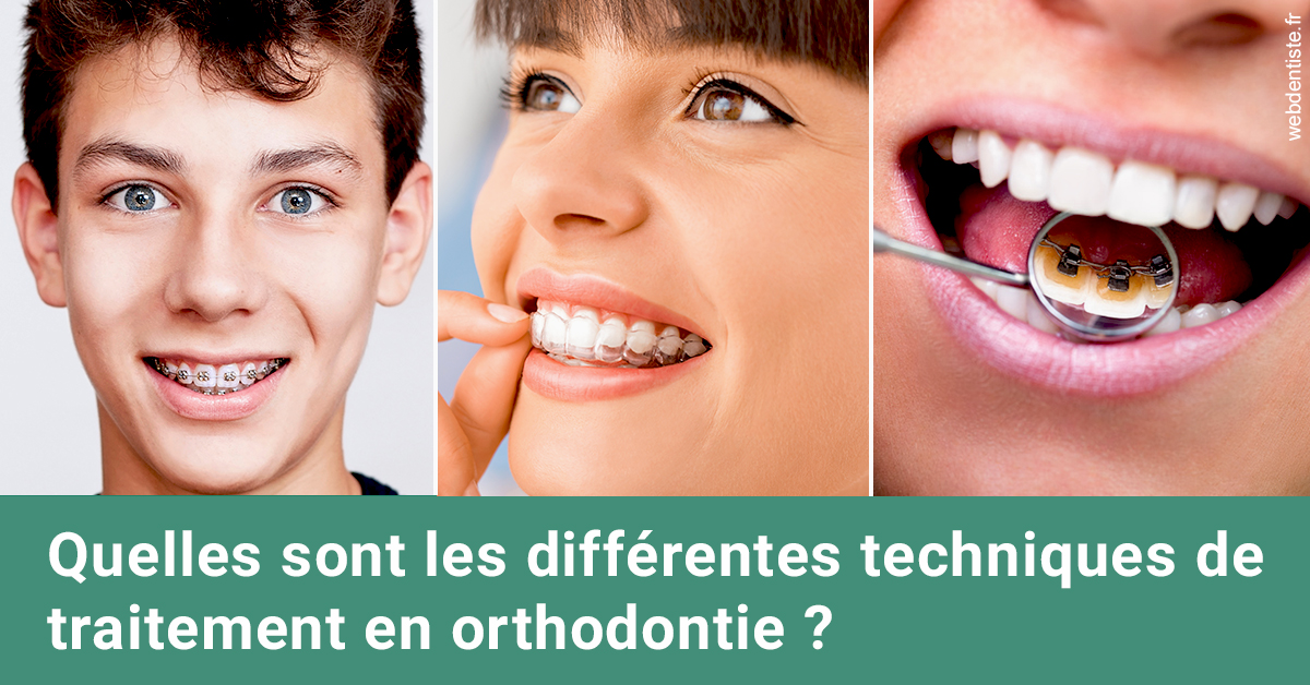 https://dr-marchou-maxime.chirurgiens-dentistes.fr/Les différentes techniques de traitement 2